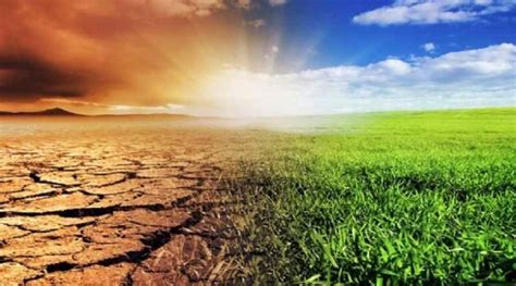التغيرات المناخية وأثرها على الزراعة المصرية وكيفية مواجهتها الفلاح اليوم