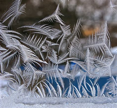 Frost On Glass Ice Flower Art ~ Kuriositas