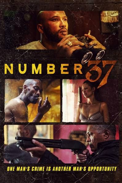 How To Watch And Stream Number 37 2018 On Roku