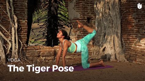Learn The Tiger Pose Vyaghrasana Yoga Youtube