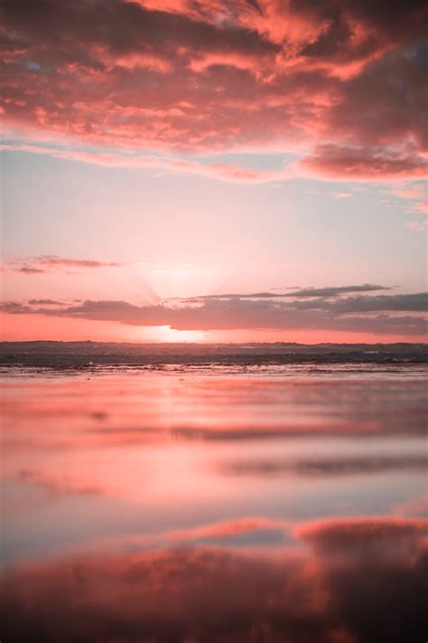 The sky is pink is the incredible love story of a couple spanning 25 years, told through the lens of their teenage daughter. Orange And Pink Sunset Pictures | Download Free Images on ...