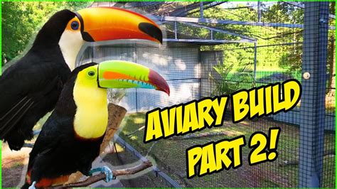 Building The Ultimate Toucan Aviary Part 2 Mesh Cover And More Youtube