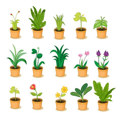 Plant Collection 417743 Vector Art At Vecteezy