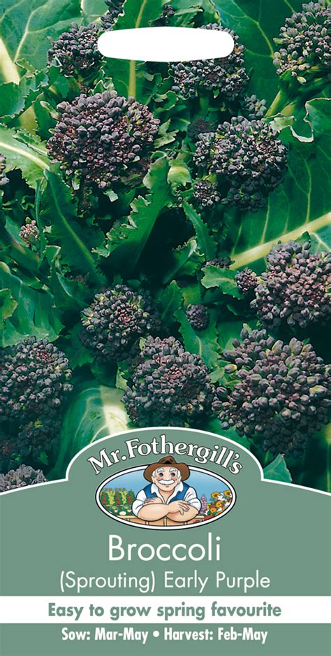 Apr 10, 2020 · when the developing heads are exposed to sun and heat, they can turn purple. Broccoli Seeds Sprouting Early Purple by Mr Fothergill's ...