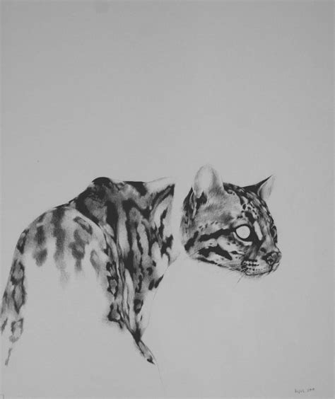 Search images from huge database containing over 1 here presented 51+ easy cat drawing images for free to download, print or share. Gorgeous Ocelot drawing that would make an insane tattoo ...