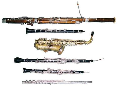 Image Detail For About Woodwind Musical Instruments Bassoon Oboe