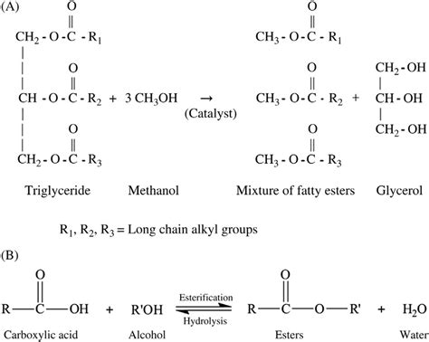 It is standard to find a series of separation and purification units after the reactor. 5 (A) Transesterification reaction in a biodiesel ...