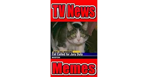 Download The Best Of Funny Cat For Jury Duty Memes Hilarious Pets