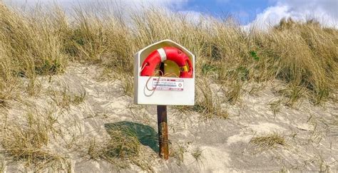 Using Libraries Safely Is Your Responsibility Blog Solid Sands