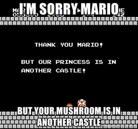 I M Sorry Mario But Your Mushroom Is In Another Castle Our Princess