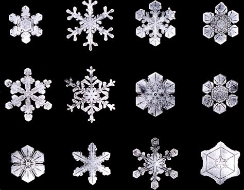 Data Deluge Snow Crystals 2019