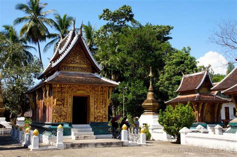 Wat Xieng Thong Royal Temple In Luang Prabang Description Opening