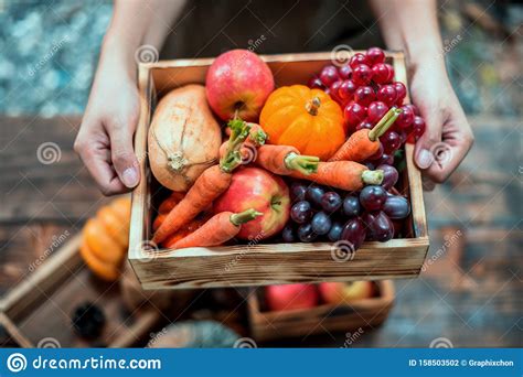 Fall Harvest Cornucopia Autumn Season With Fruit And Vegetable Stock