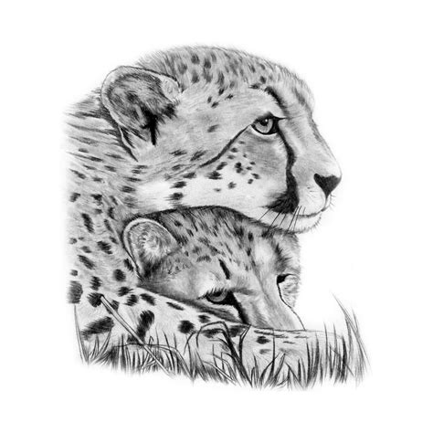 Animals Archives Momentary Inkmomentary Ink Cheetah Tattoo Cheetah