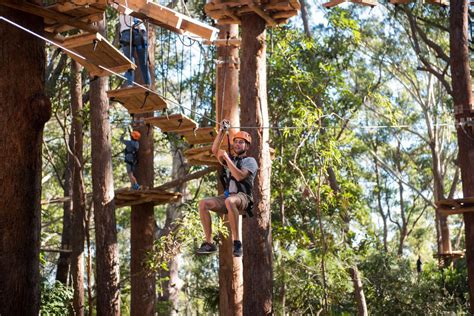 A Day At Treetops Coffs Harbour Treetops Adventure Park