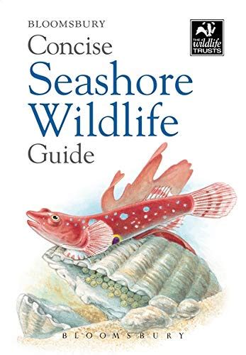 Concise Seashore Wildlife Guide - Bloomsbury