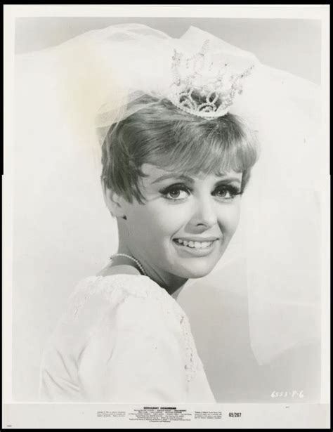 Deborah Walley Sargeant Deadhead Released August 18 1965 Frankie Avalon Deborah Walley Caesar