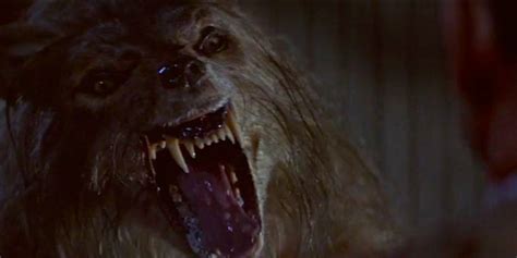 Can You Name That Werewolf Movie Pophorror