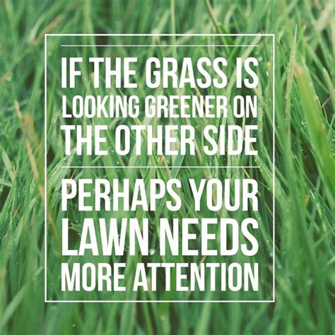 Greener Grass Quote Grass Quotes Green Grass Quotes Green Grass