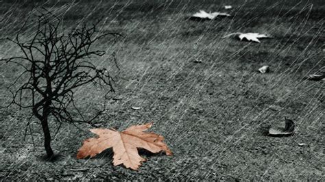 50 3d Rain Wallpaper On Wallpapersafari