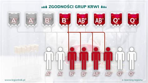 Zgodności grup krwi lekcja E learningu Legionu YouTube