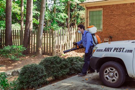 Pest Control Kennesaw Termite And Wildlife Control Any Pest