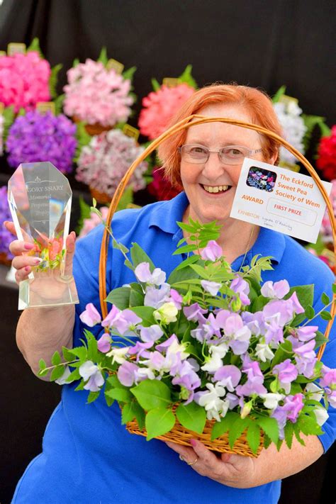 Hundreds Turn Out To Wem Sweet Pea Show Shropshire Star