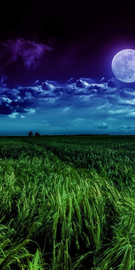Grass Field Moon Landscape Night Clouds 1080x2160 Wallpaper Neuer
