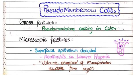 Infectious And Pseudomembranous Colitis Youtube