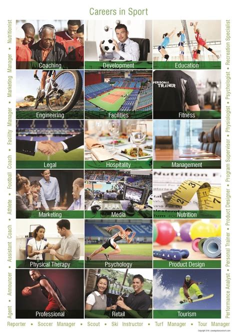 Sports Career Poster Career Guidance Charts