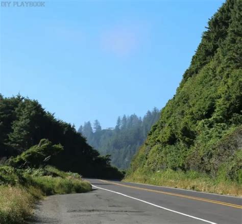 Seattle To San Francisco Tips For A Highway 101 Road Trip Diy Playbook