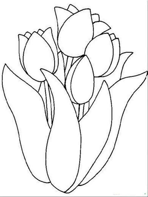 You might also be interested in coloring pages. Tulip coloring pages. Download and print Tulip coloring pages