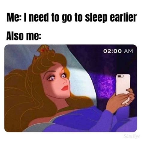 20 Best Go To Sleep Memes To Read At Midnight Luv68
