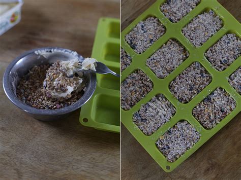 Diy Réaliser Ses Boules De Graisse Pour Les Oiseaux Jardin Green Life