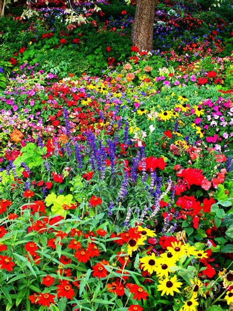 Wildflower Garden Landscaping Collection In 2021 Wildflower Garden