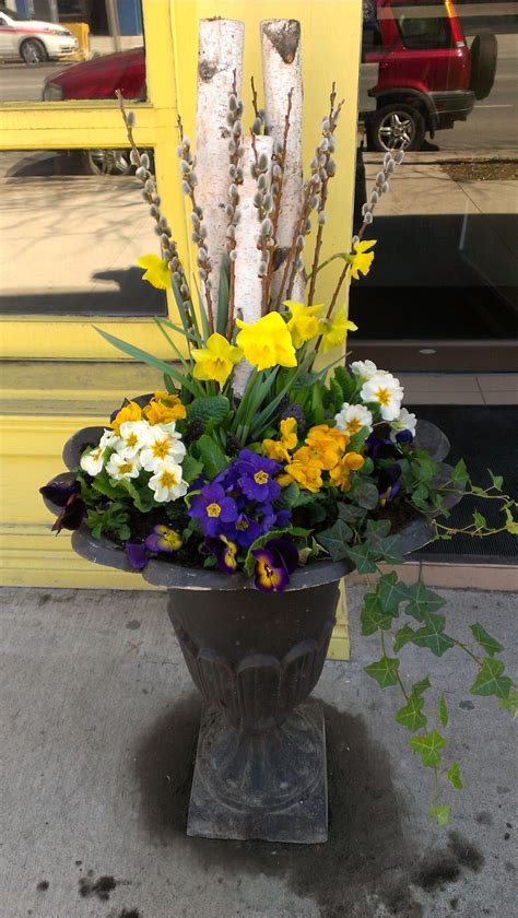 Spring Urn At Tabule Restaurant Yonge St Location Designed By Tracy