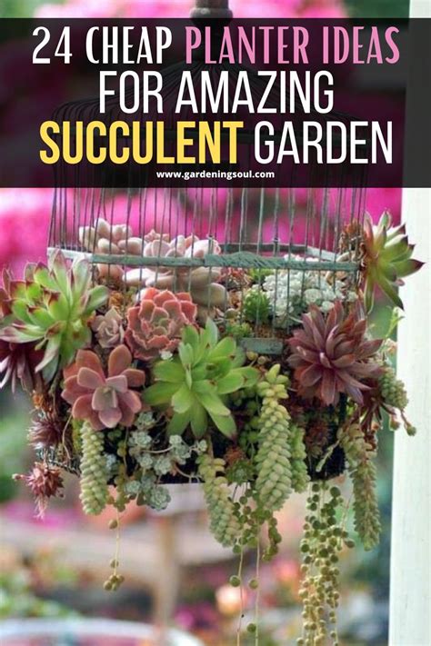 24 Cheap Planter Ideas For Amazing Succulent Garden