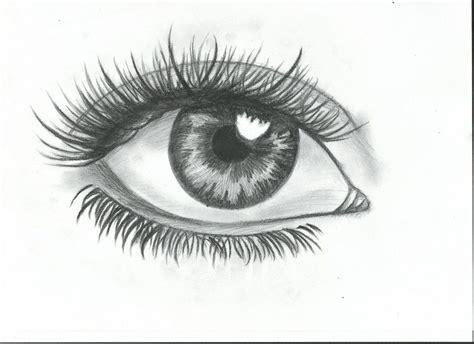Realistic Eye Sketch Eye Drawing Eye Art Easy Eye Drawing