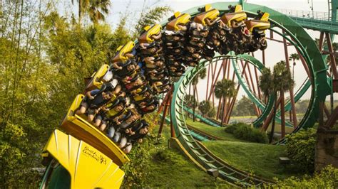 Maybe you would like to learn more about one of these? Neal Thurman Named New Park President Busch Gardens Tampa ...