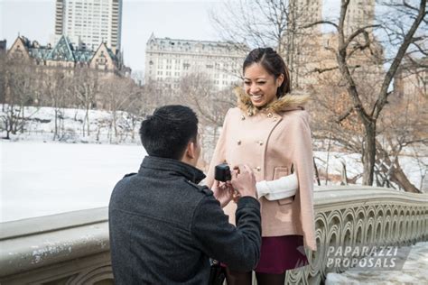 Au And Lisa S Stunning Central Park Proposal New York