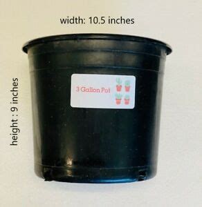 Maybe you would like to learn more about one of these? 3 gallon pots (sets of 10) 9780664256869 | eBay