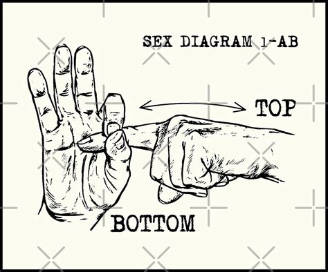 Sex Diagram Stickers Redbubble Free Hot Nude Porn Pic Gallery