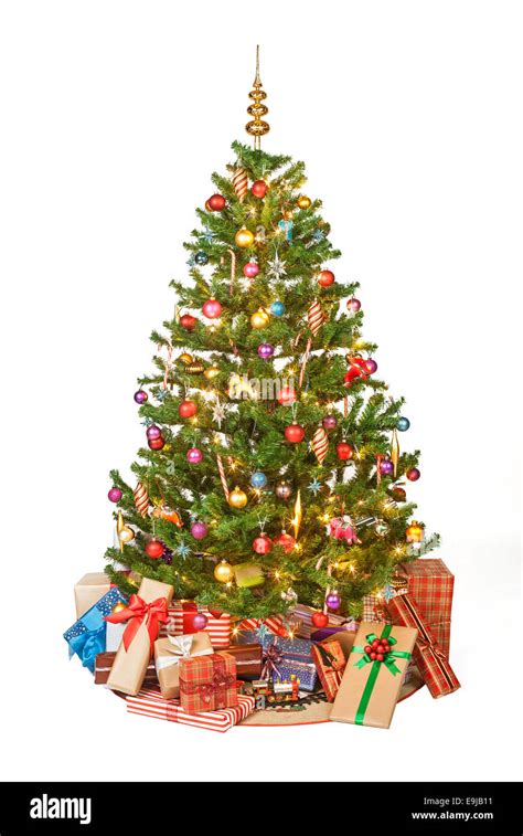 Beautiful Christmas Tree Isolated On White Background Studio Shot