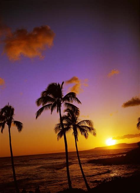 In moscow now wednesday, february 10, 2021, week 7. Best Time To Visit Hawaii
