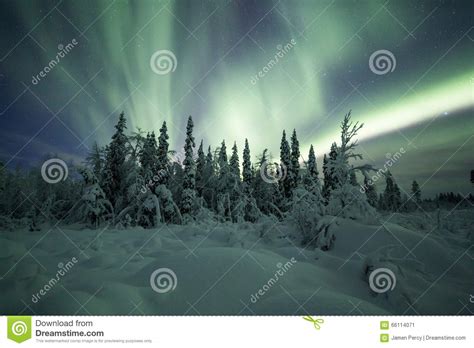 Aurora Borealis Aurora Boreal En Bosque De Finlandia Laponia Imagen