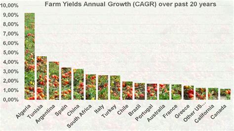 Agricultural Yields Increase Over Years Tomato News