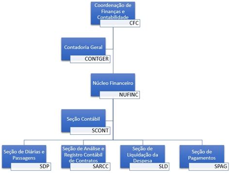 Coordenação De Finanças E Contabilidade Apresentação