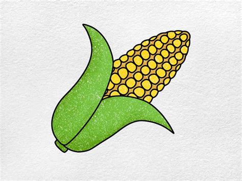 How To Draw A Corn Cob Helloartsy
