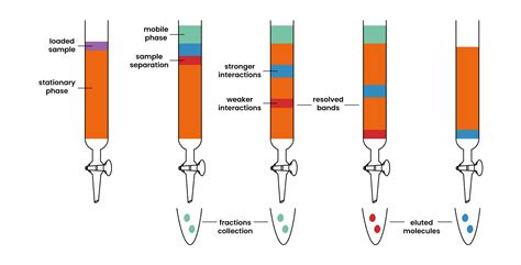 Column Chromatography Made Simple An Easy To Follow Guide