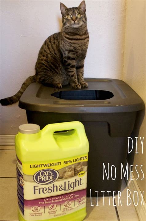 Diy cat litter box system from ikea for pine pellets easy maintenance, low cost, env friendly. DIY Mess Free Cat Litter Box | Litter box, Cats, Cats, kittens
